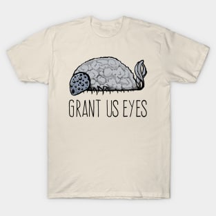 Grant Us Eyes T-Shirt